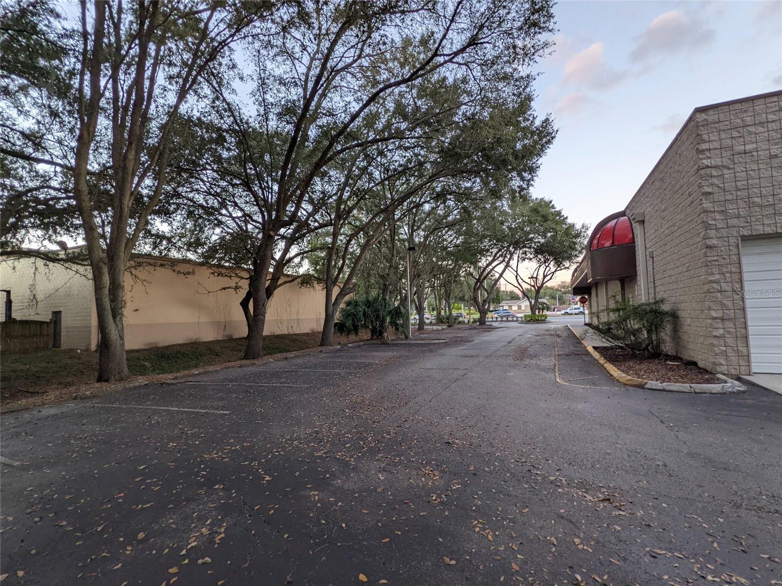 614 E Altamonte Dr Property Photo 6