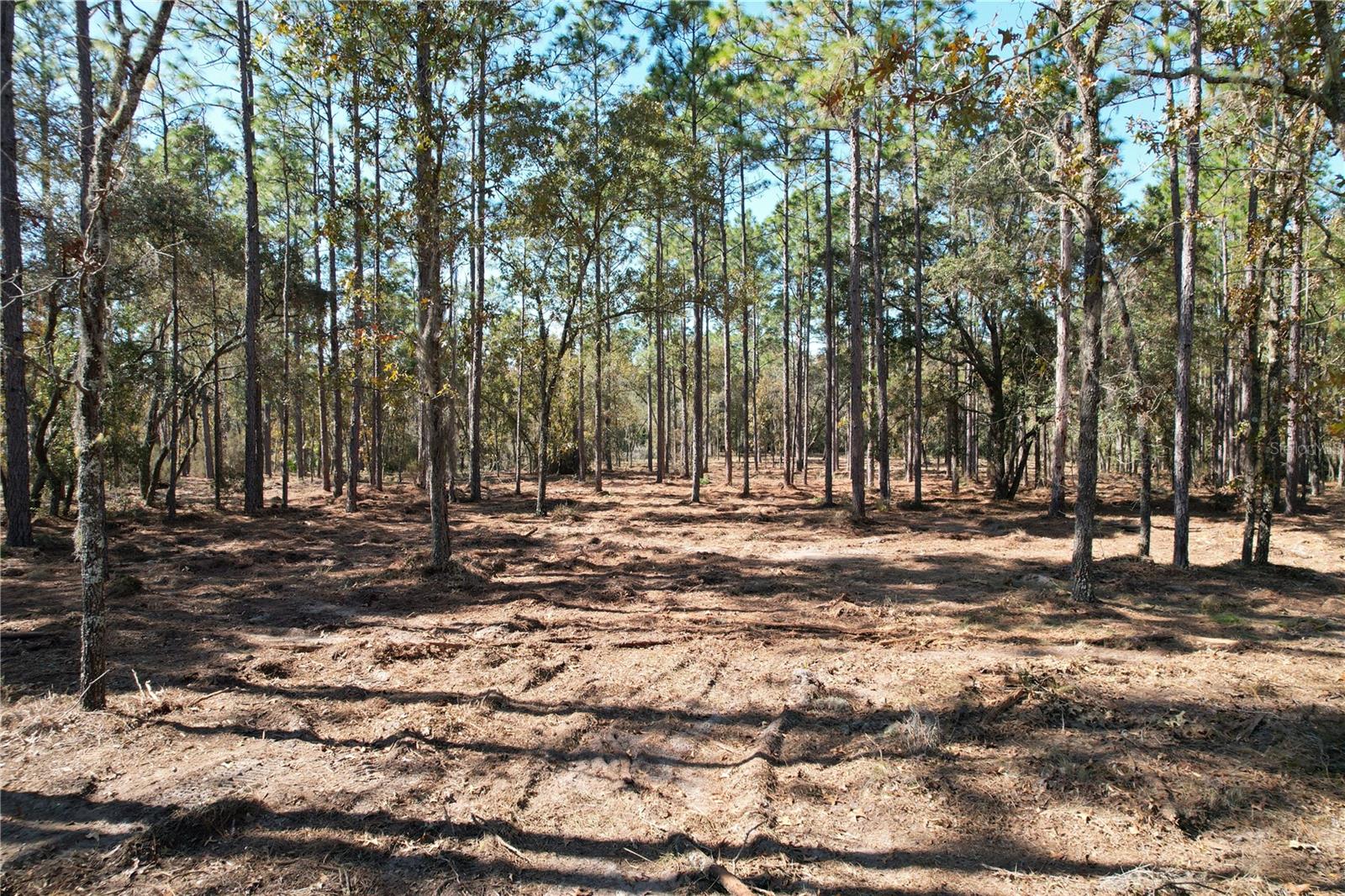 93rd Ter Property Photo 1