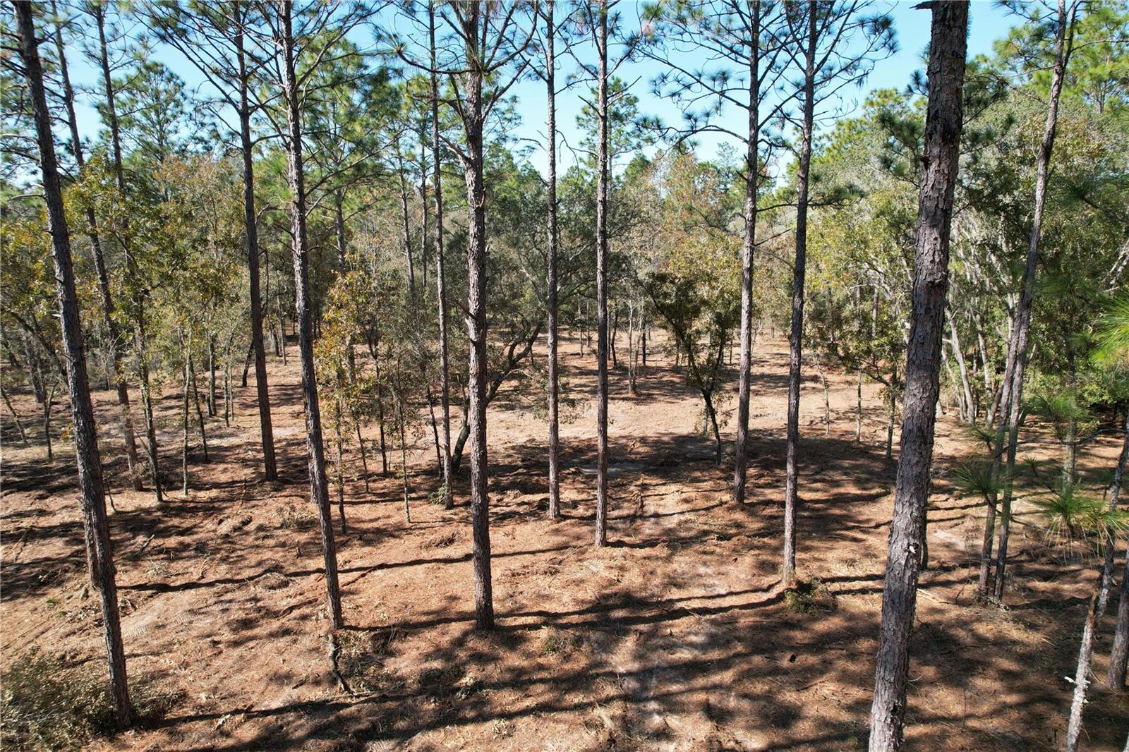 93rd Ter Property Photo 3