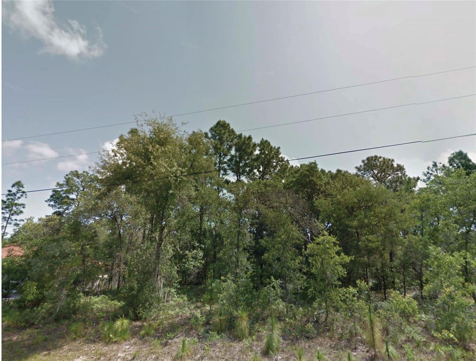 8383 N Manuetta Dr Property Photo 1