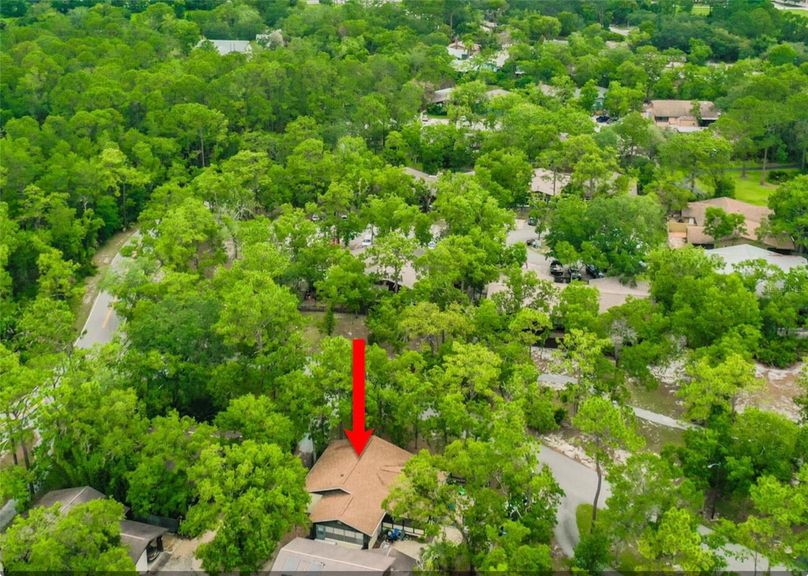 127 Cypress Pond Rd Property Photo 49