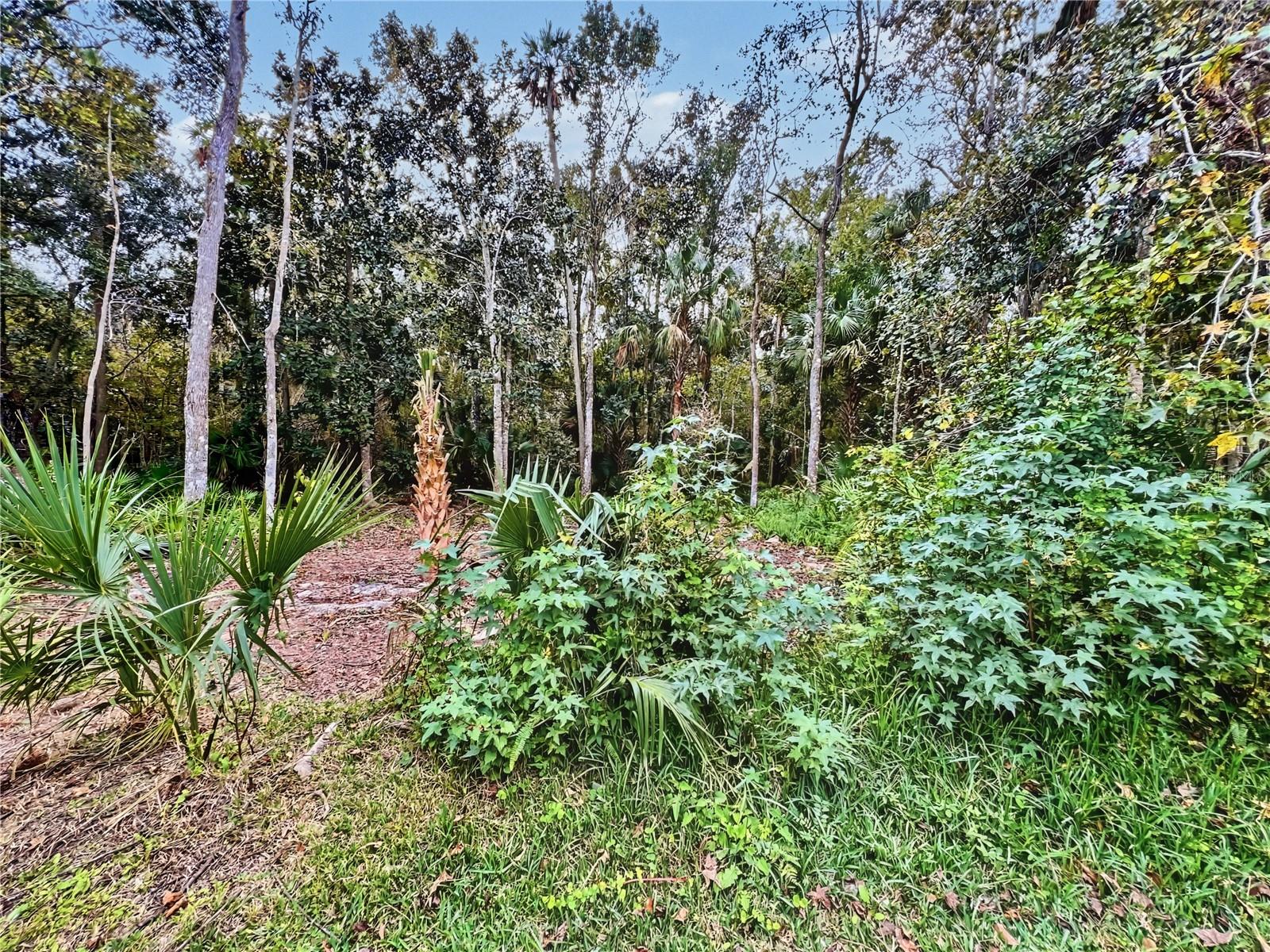 839 Lake Evalyn Dr Property Photo 18