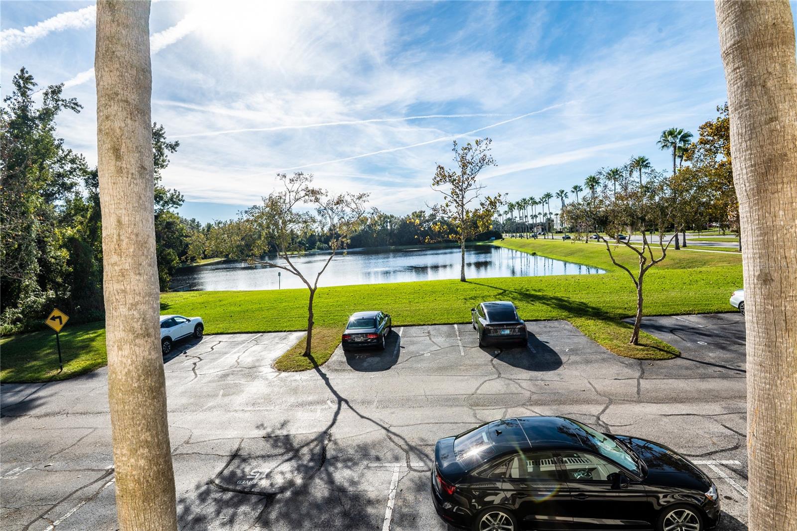 770 Siena Palm Dr #203 Property Photo 14