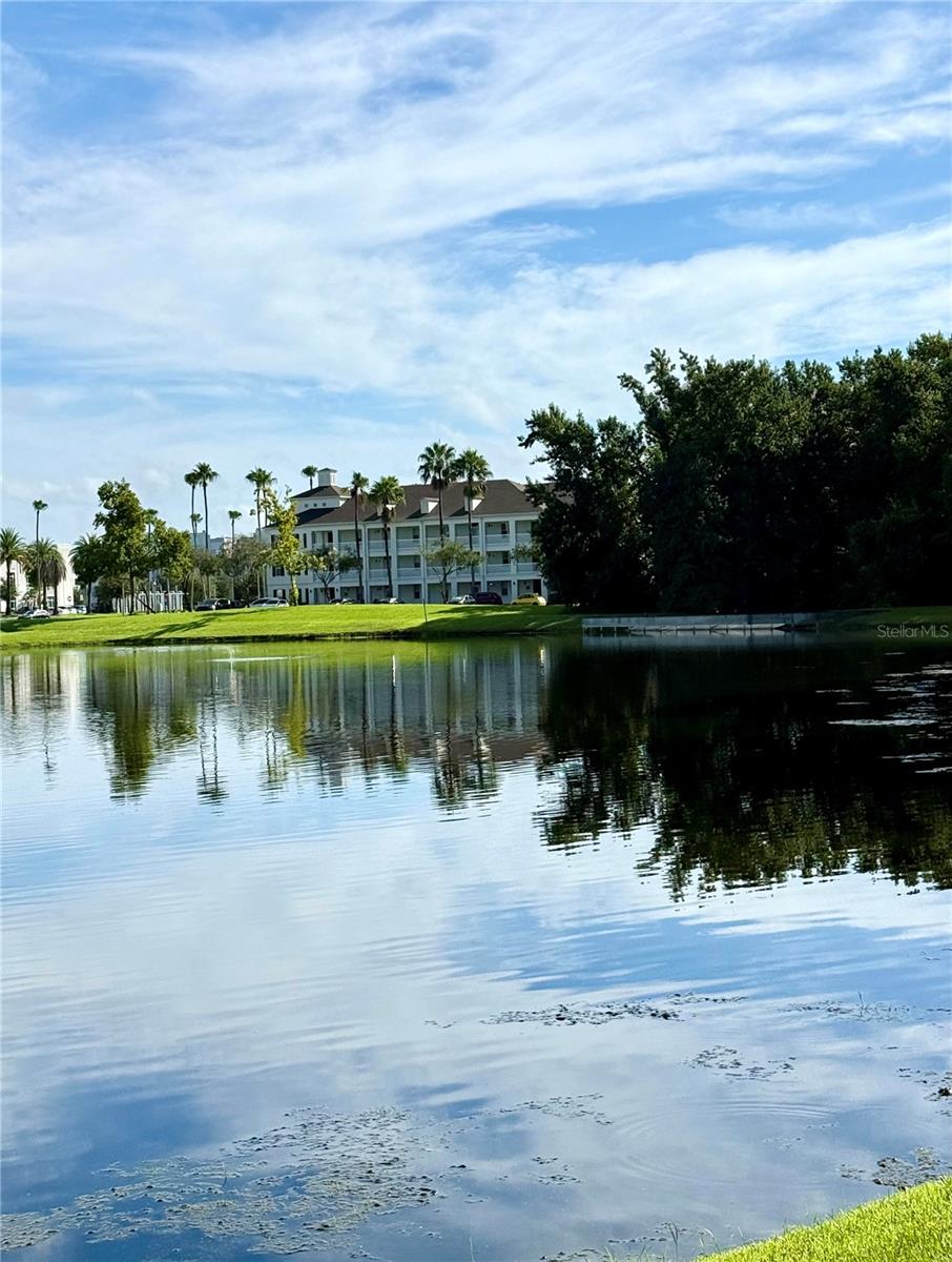 770 Siena Palm Dr #203 Property Photo 15