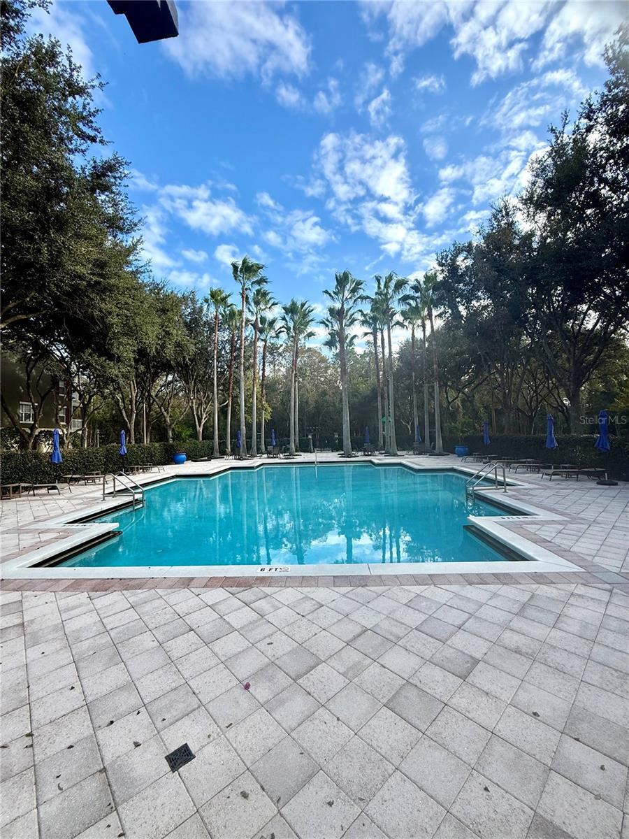 770 Siena Palm Dr #203 Property Photo 19