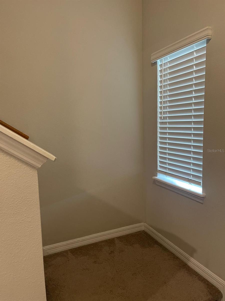 10731 Silk Tree Ct Property Photo 18