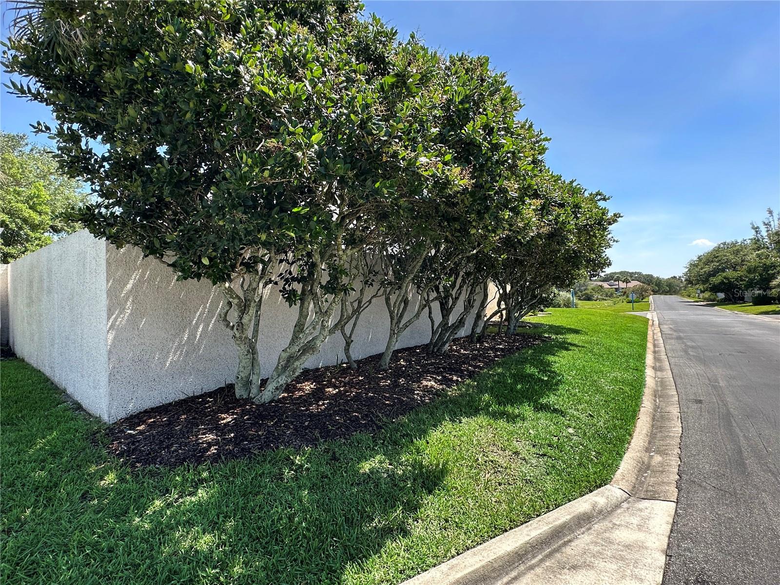 358 Monika Pl Property Photo 41