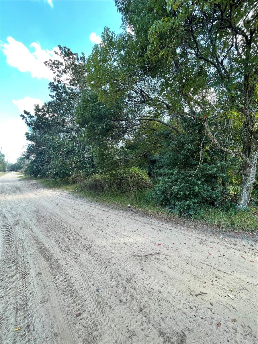 20180 Se 141st St Property Photo 1