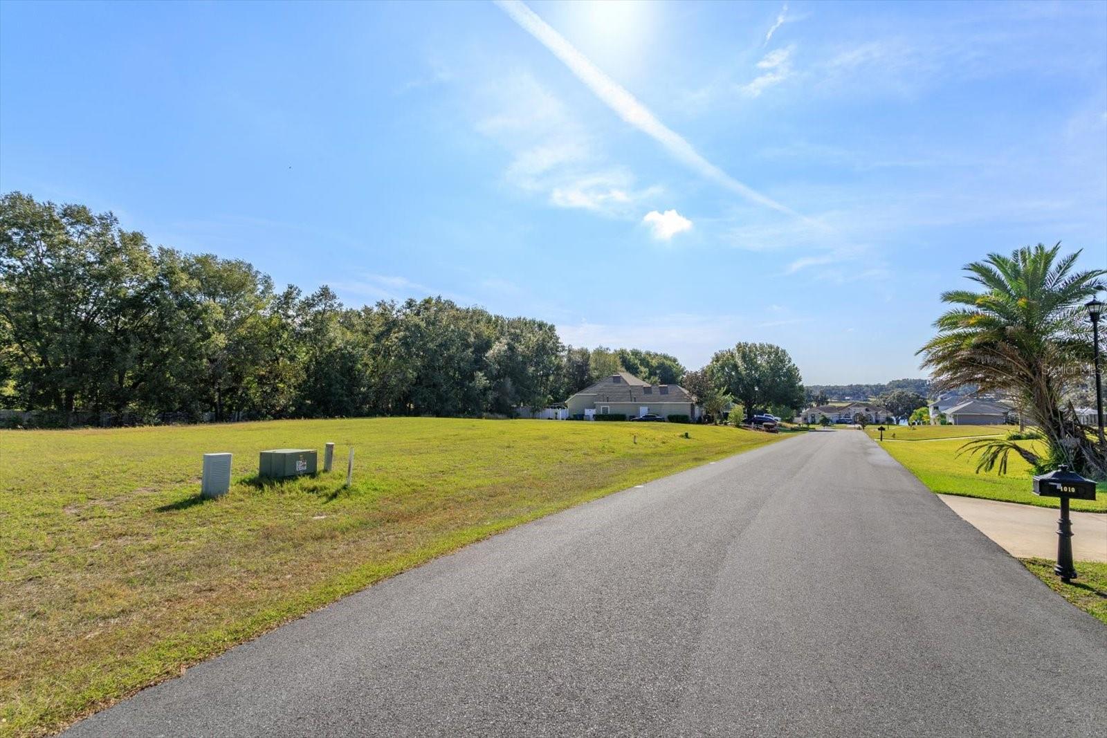 1007 MYRTLE BREEZES CT Property Photo 1