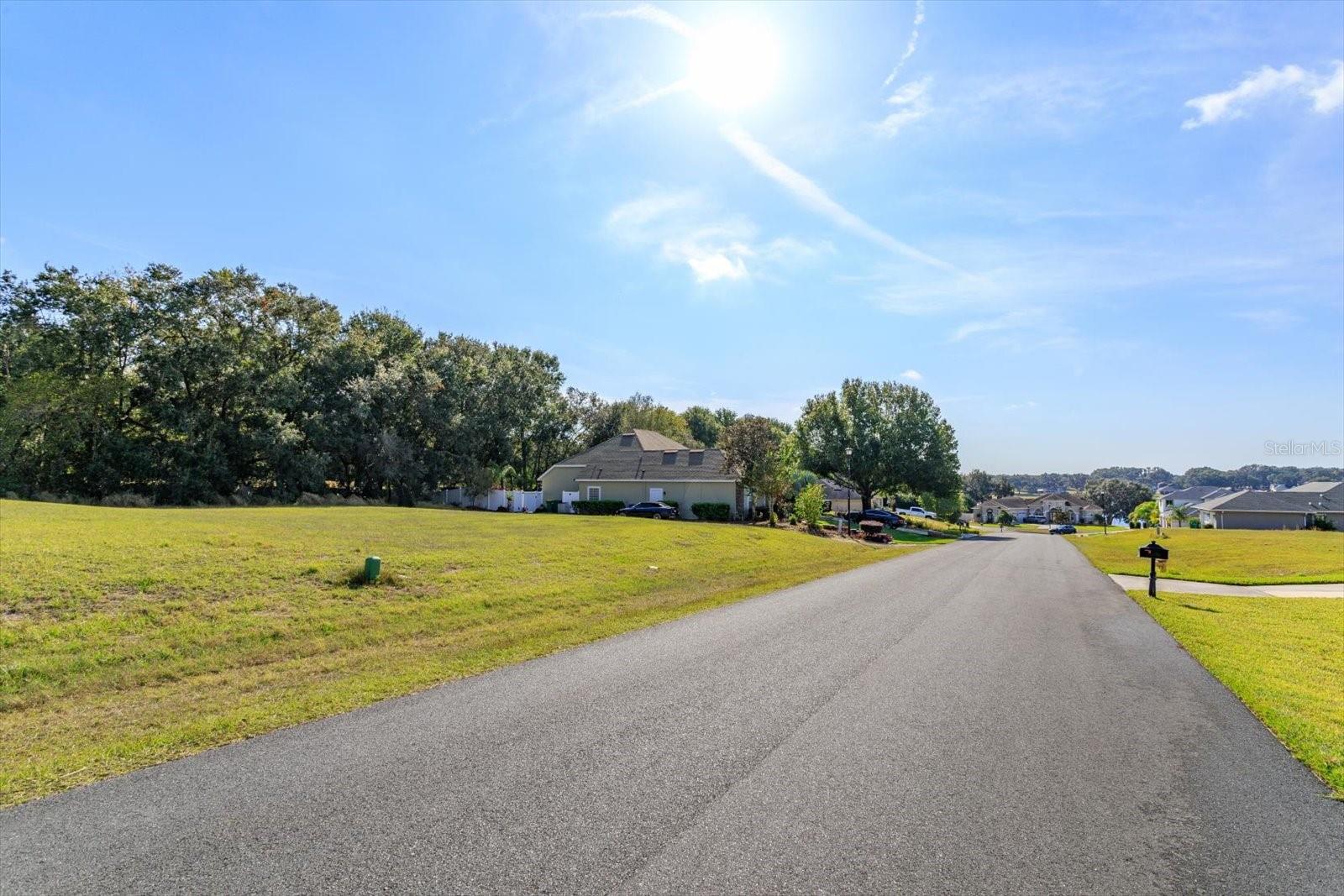 1009 MYRTLE BREEZES CT Property Photo 1