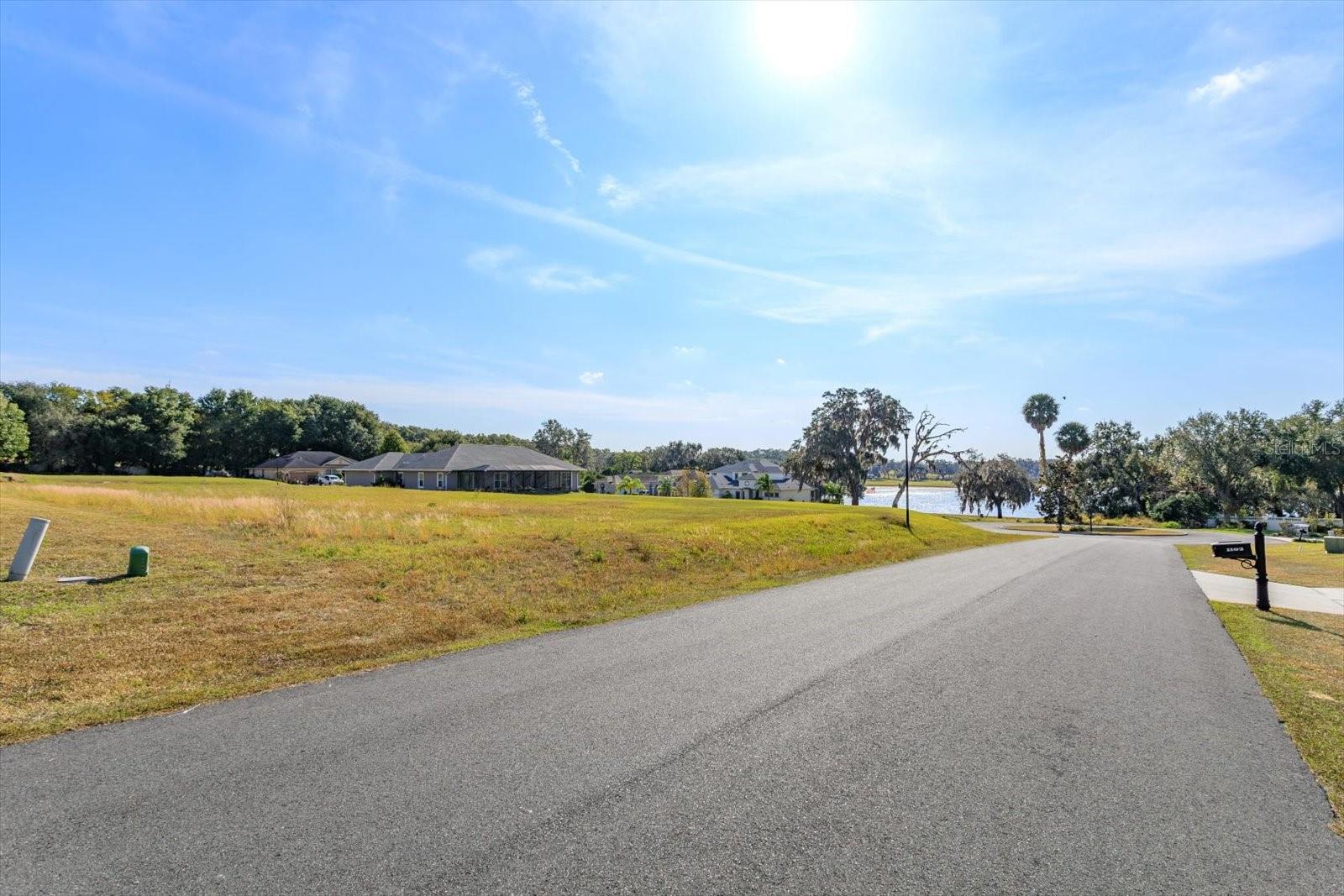 1115 MYRTLE BREEZES CT Property Photo 1