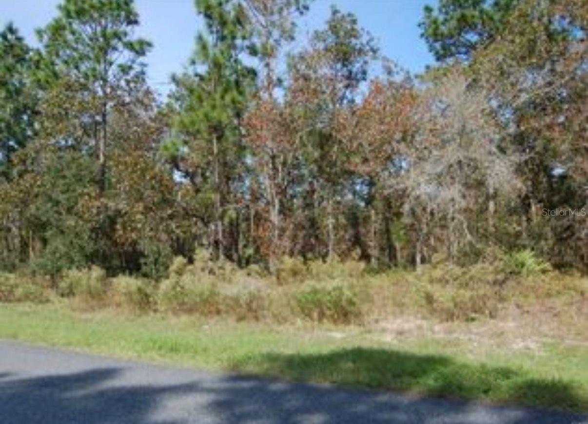 2084 W Riley Dr Property Photo 2