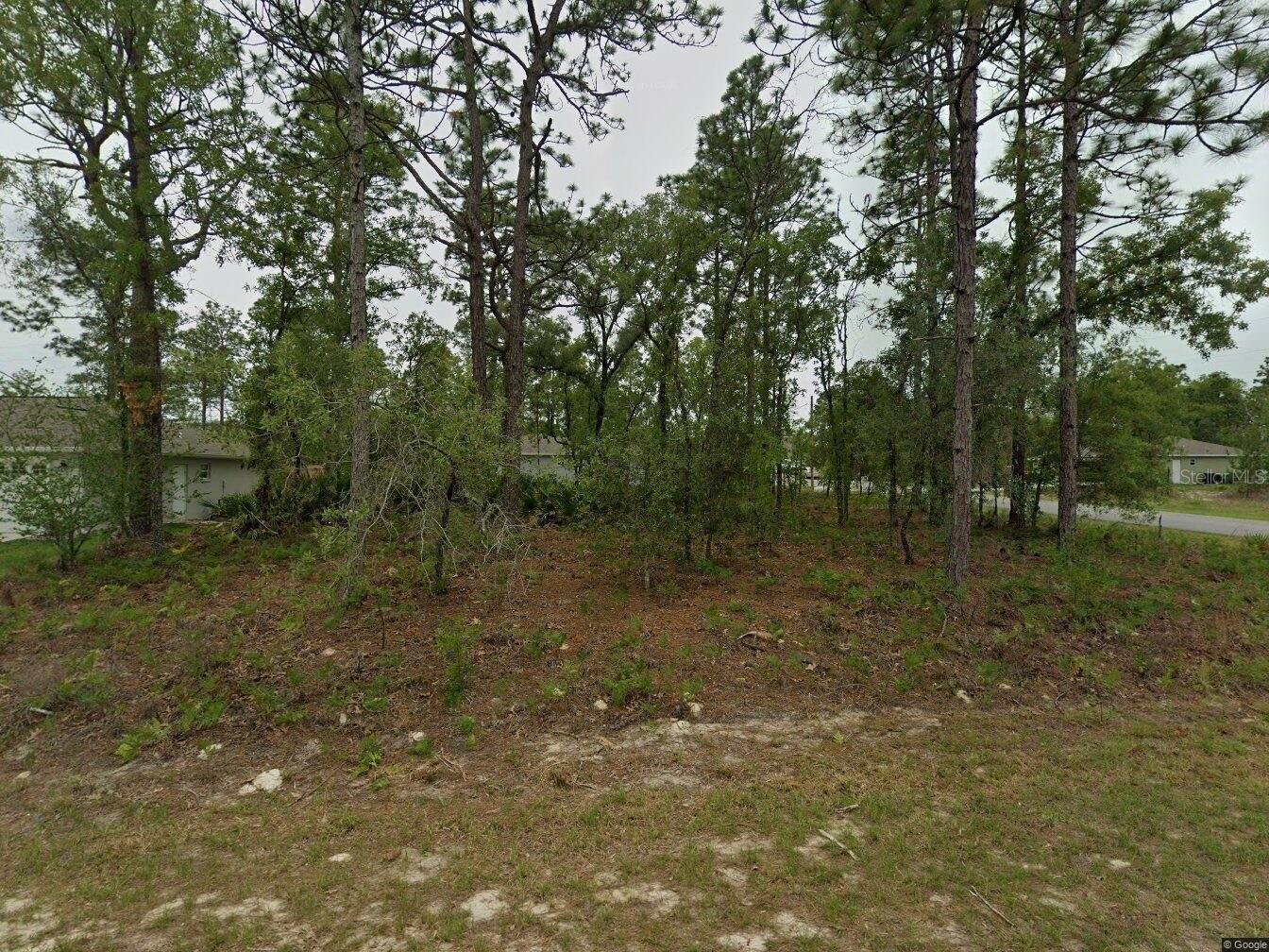 2084 W Riley Dr Property Photo 3