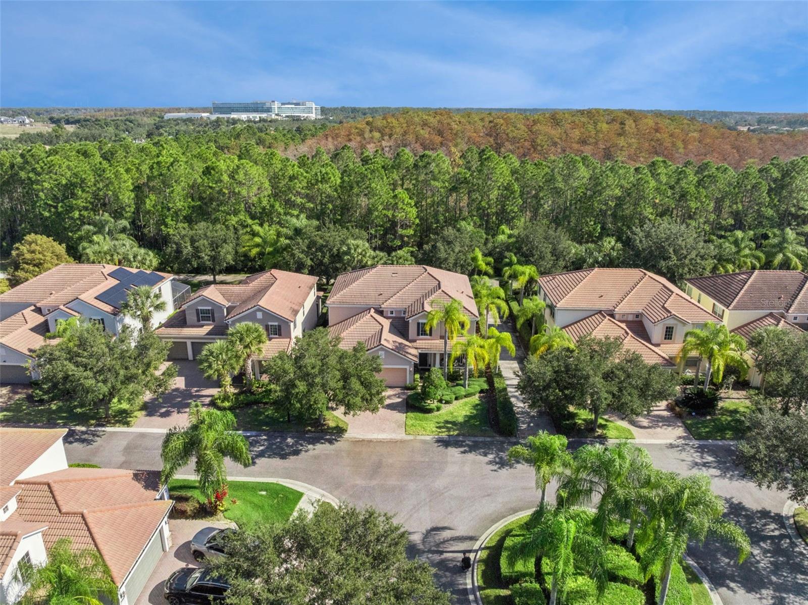 7991 Esta Ln Property Photo 4