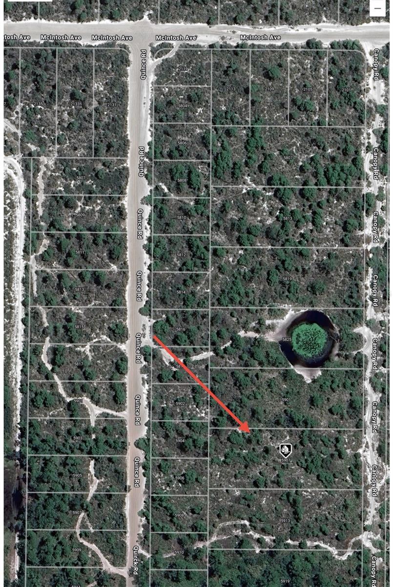 5907 Canopy Rd Property Photo 6