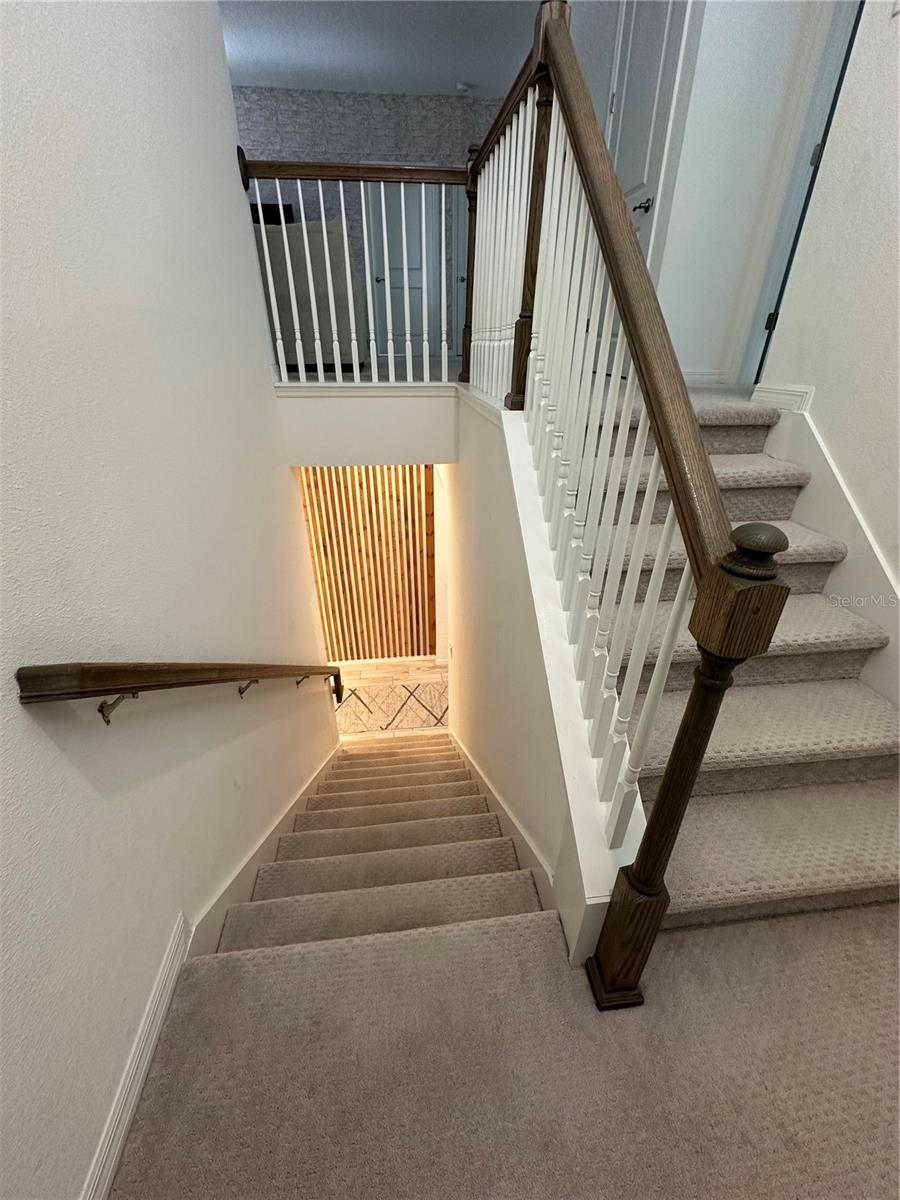 2403 Biscotto Cir Property Photo 16