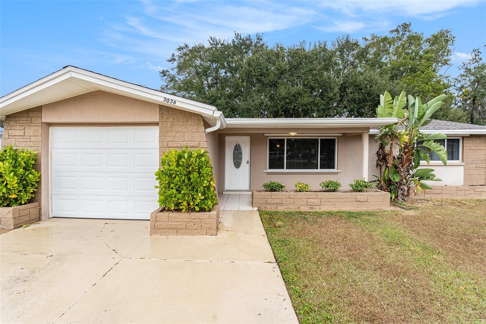 3036 Blue Bird Dr Property Photo 3