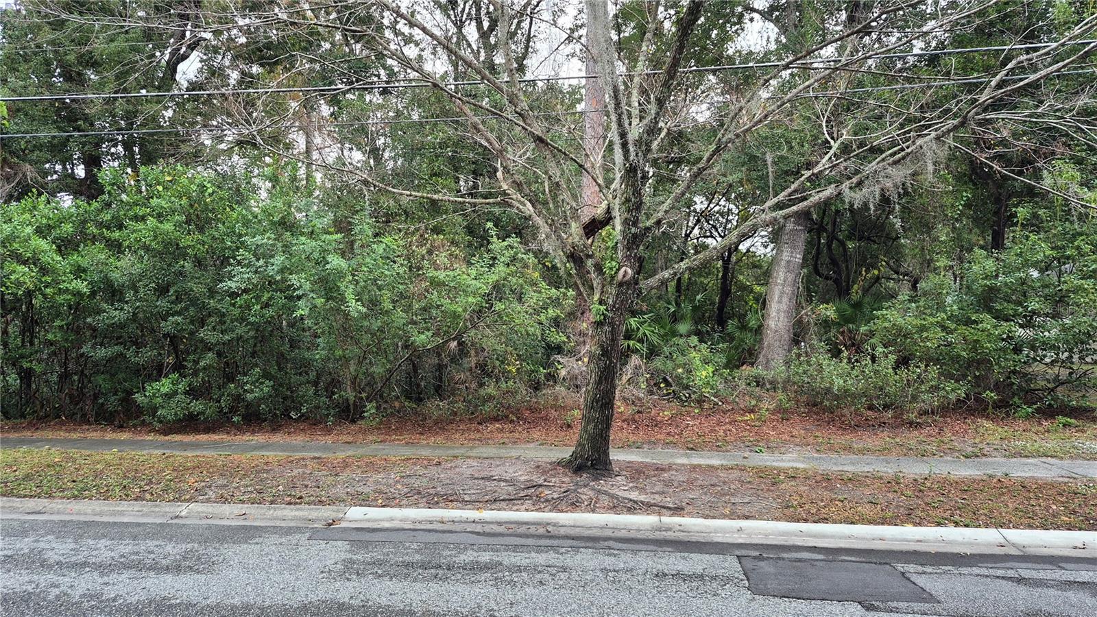 O6366217 Property Photo 1