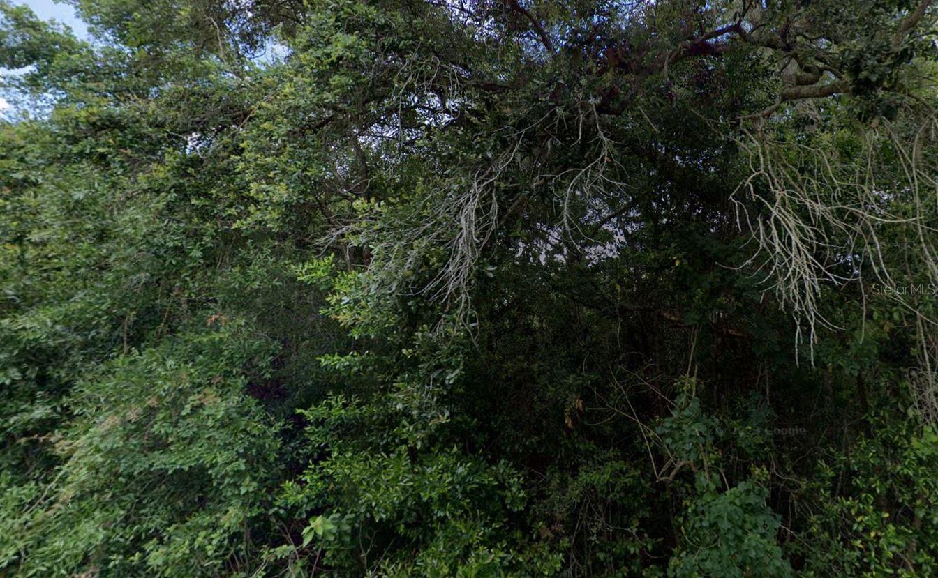 3288/3302 E Alisa Ln Property Photo 1