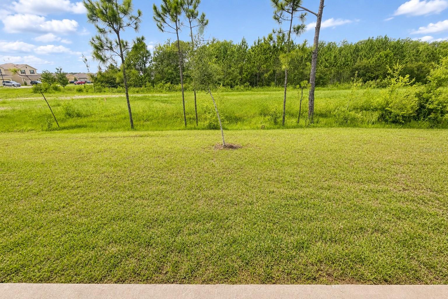7520 Bent Tree Loop Property Photo 23