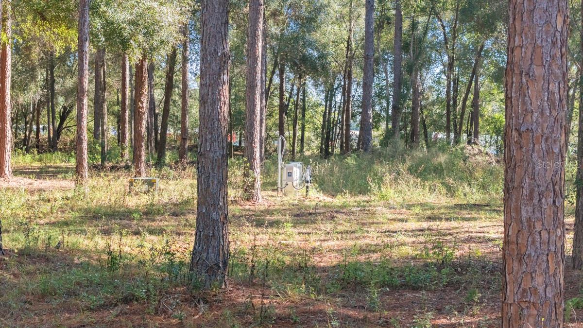24250 Deep Springs Loop Property Photo 7