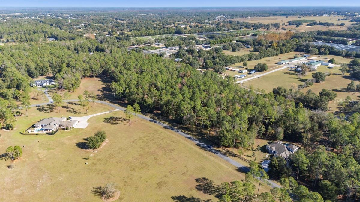 24250 Deep Springs Loop Property Photo 8