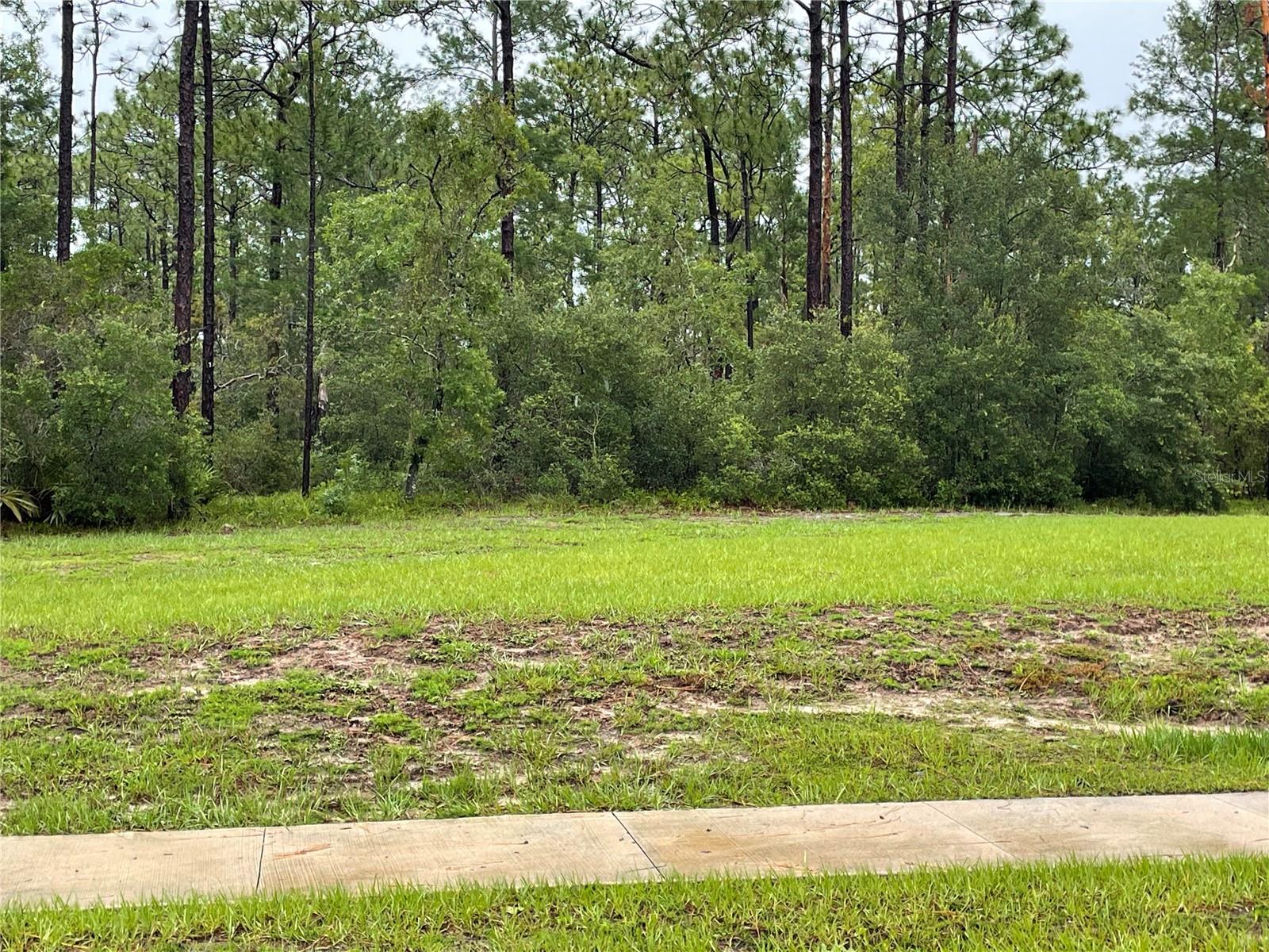 3446 Fernanda Dr Property Photo 4
