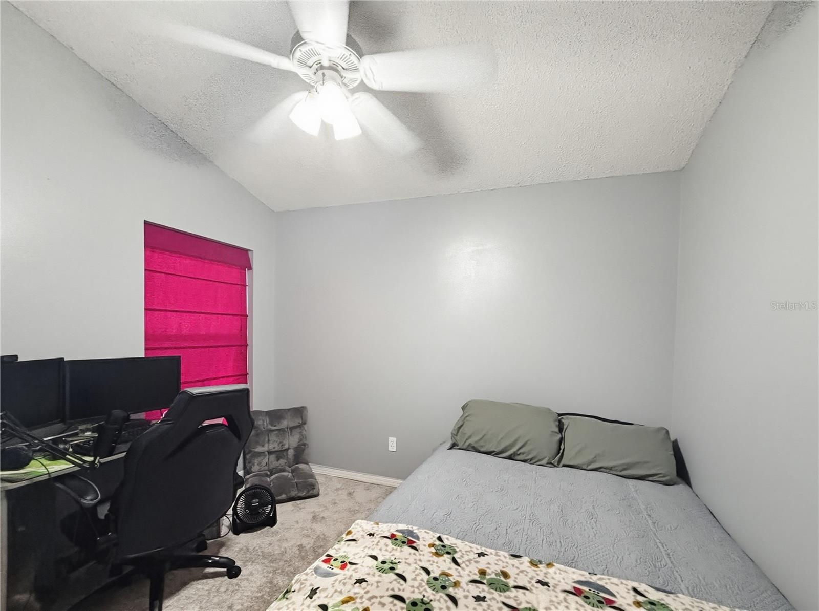 457 Mickleton Loop Property Photo 22