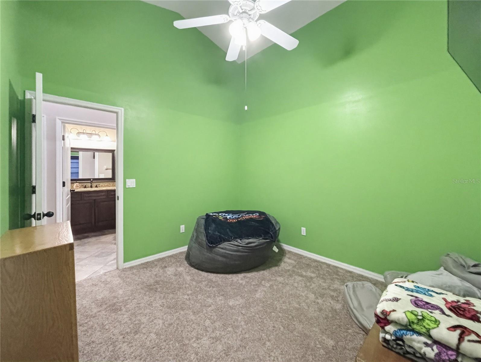 457 Mickleton Loop Property Photo 24