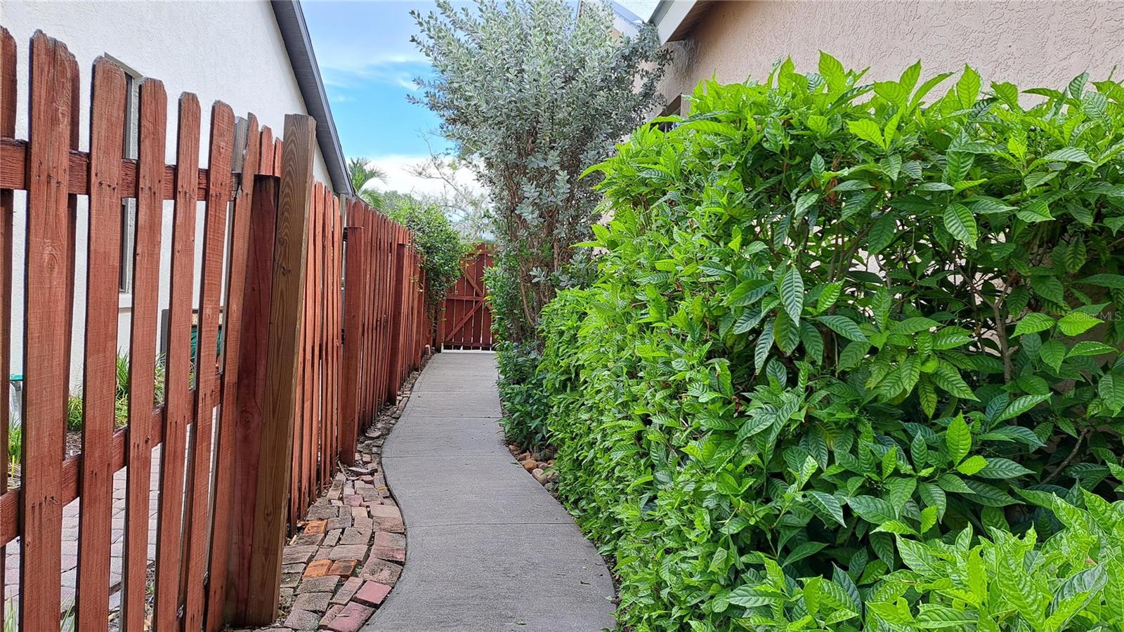2377 Burton Ln Property Photo 45
