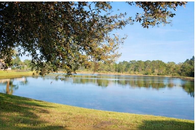 1513 Balsam Willow Trl Property Photo 16