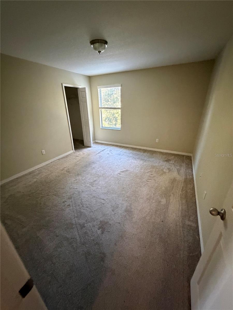 1513 Balsam Willow Trl Property Photo 19
