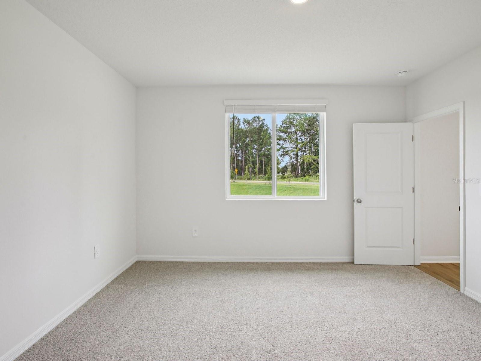 7488 Mia Vine Dr Property Photo 17