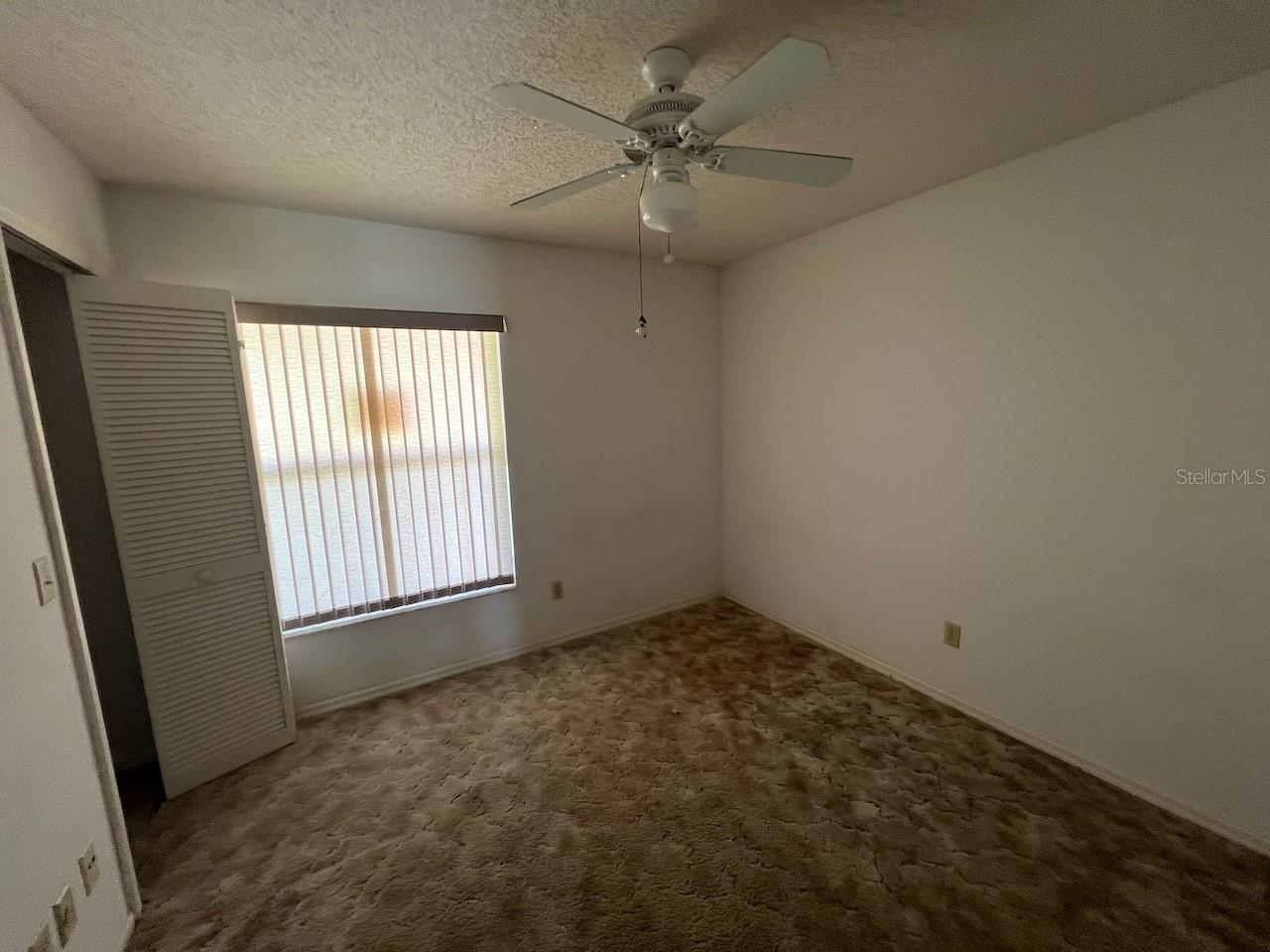 2024 Lime Tree Dr Property Photo 19