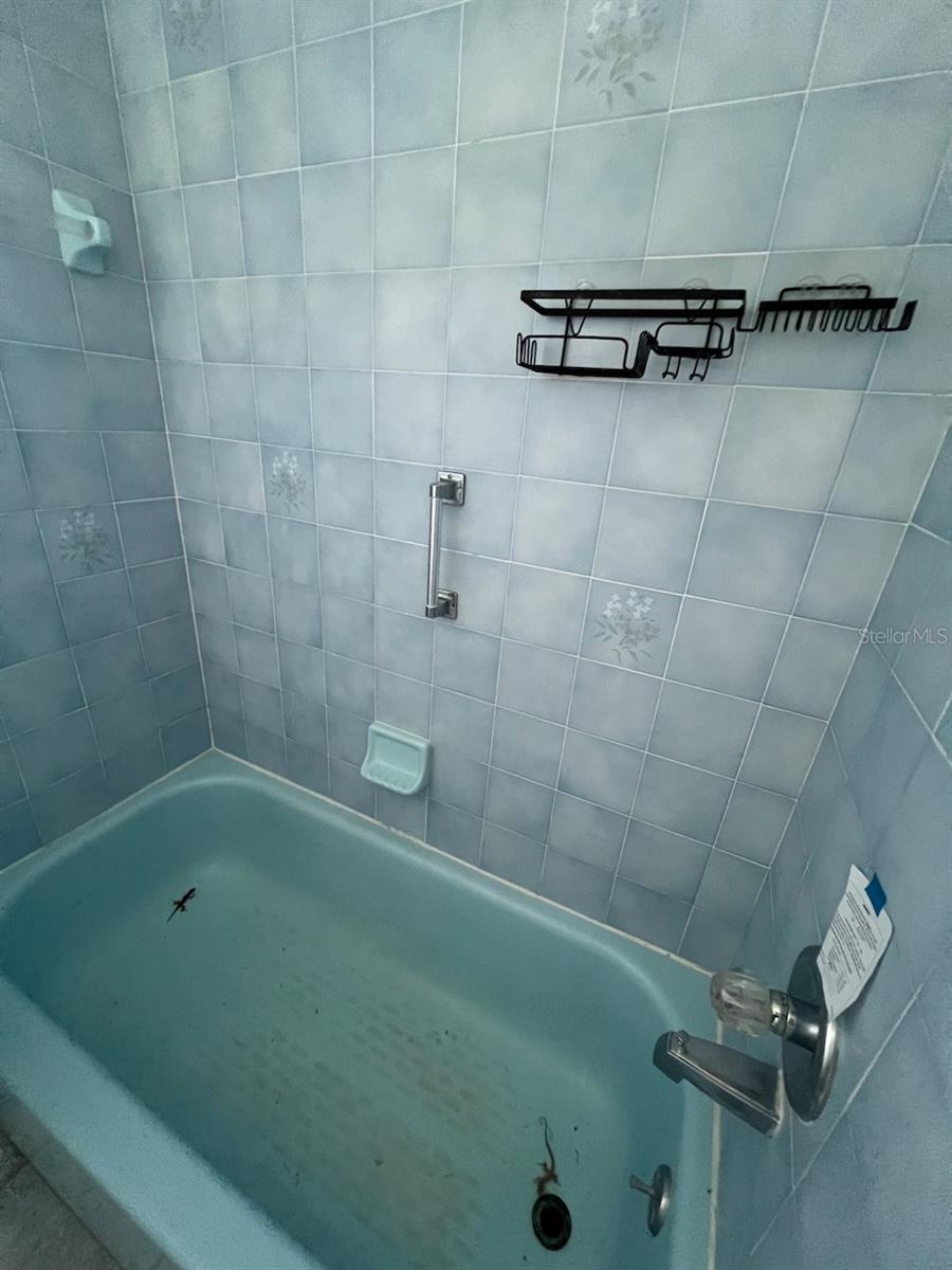 2024 Lime Tree Dr Property Photo 25