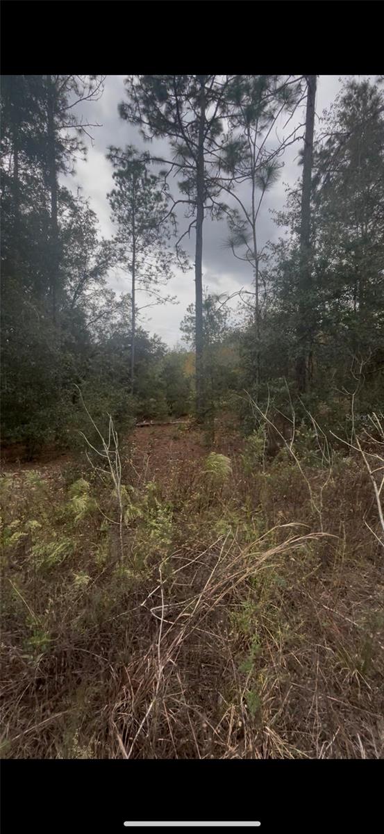 0 SW 21 PL Property Photo 1