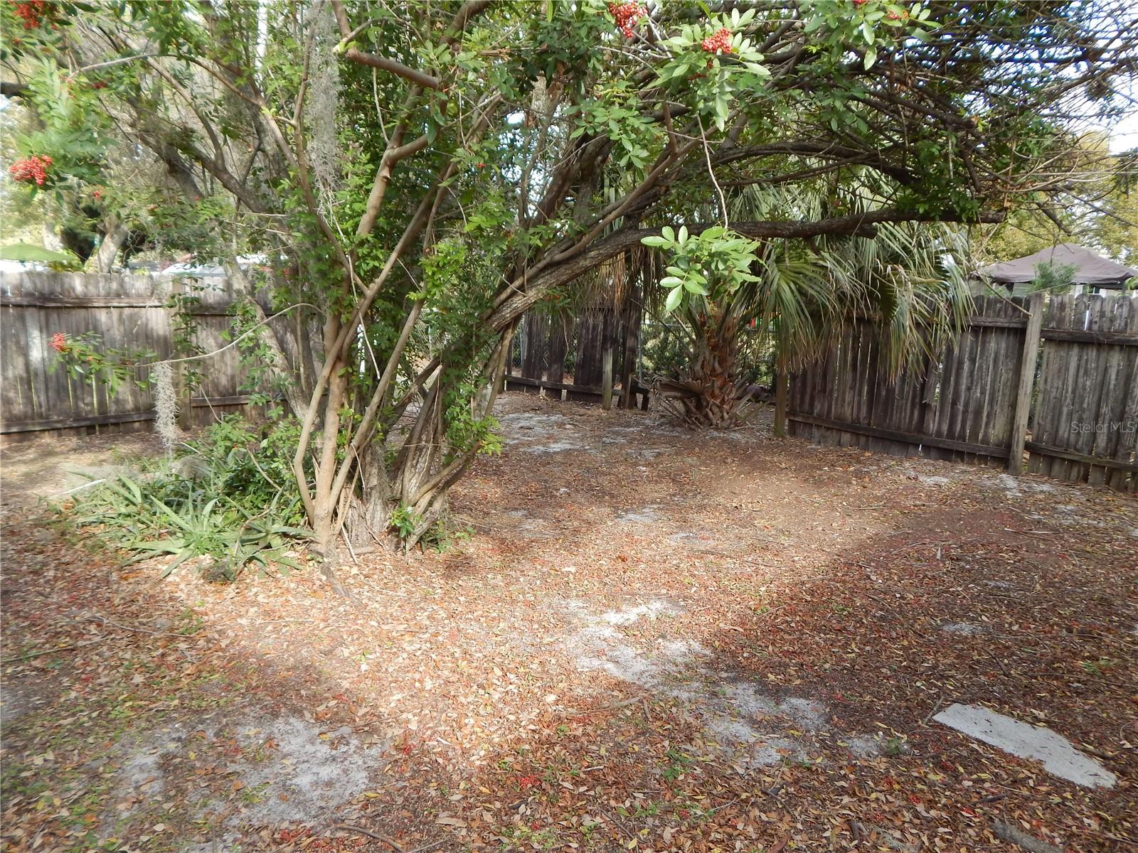 2505 Coral Ave Property Photo 24