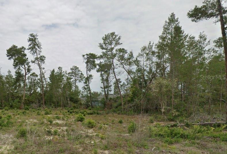 Tbd Sw 30th Ave Rd Property Photo 1