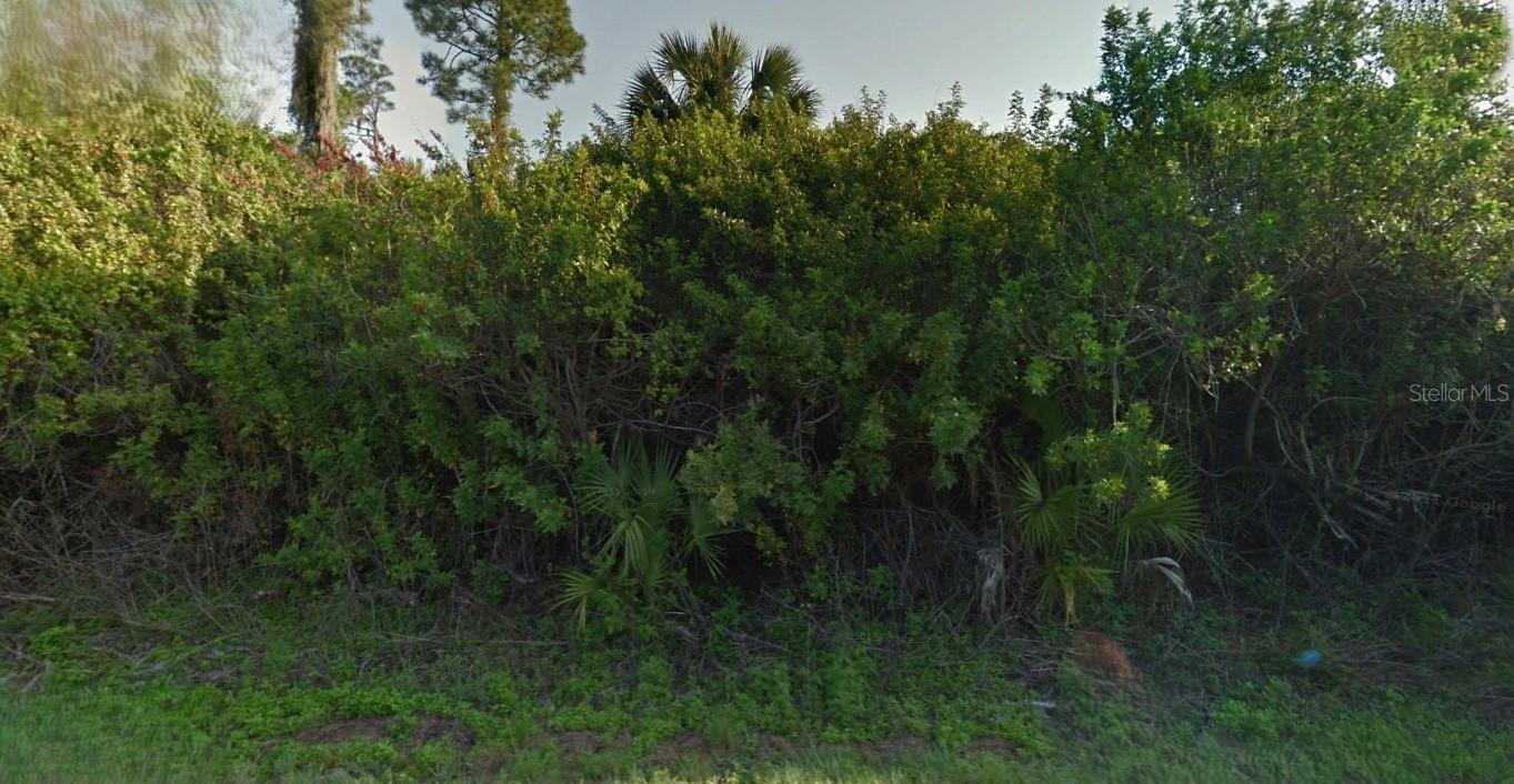 LARGELEAF ST Property Photo 1