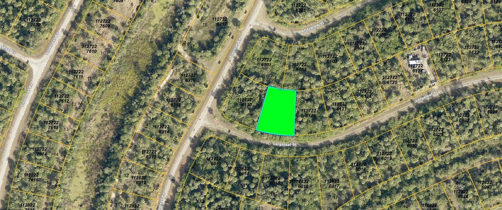 Largeleaf St Property Photo 2