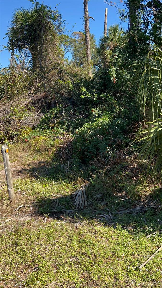 Easter Ter Property Photo 3