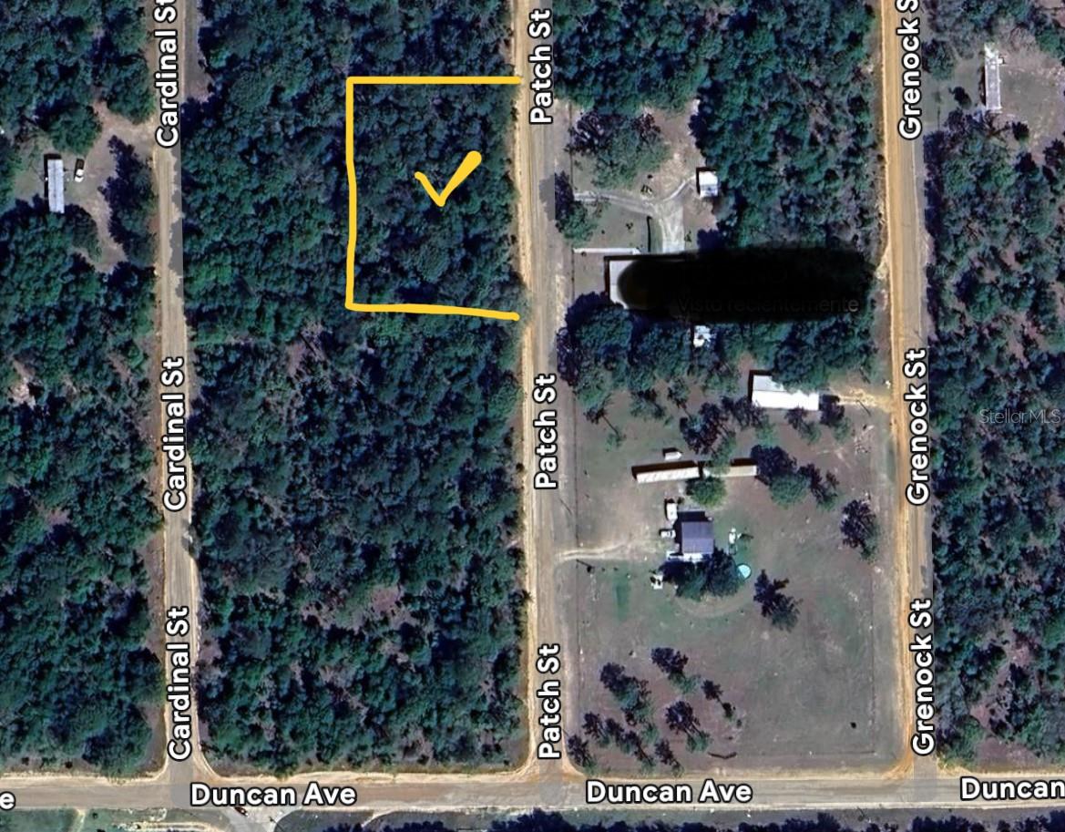 Patch St Property Photo 1