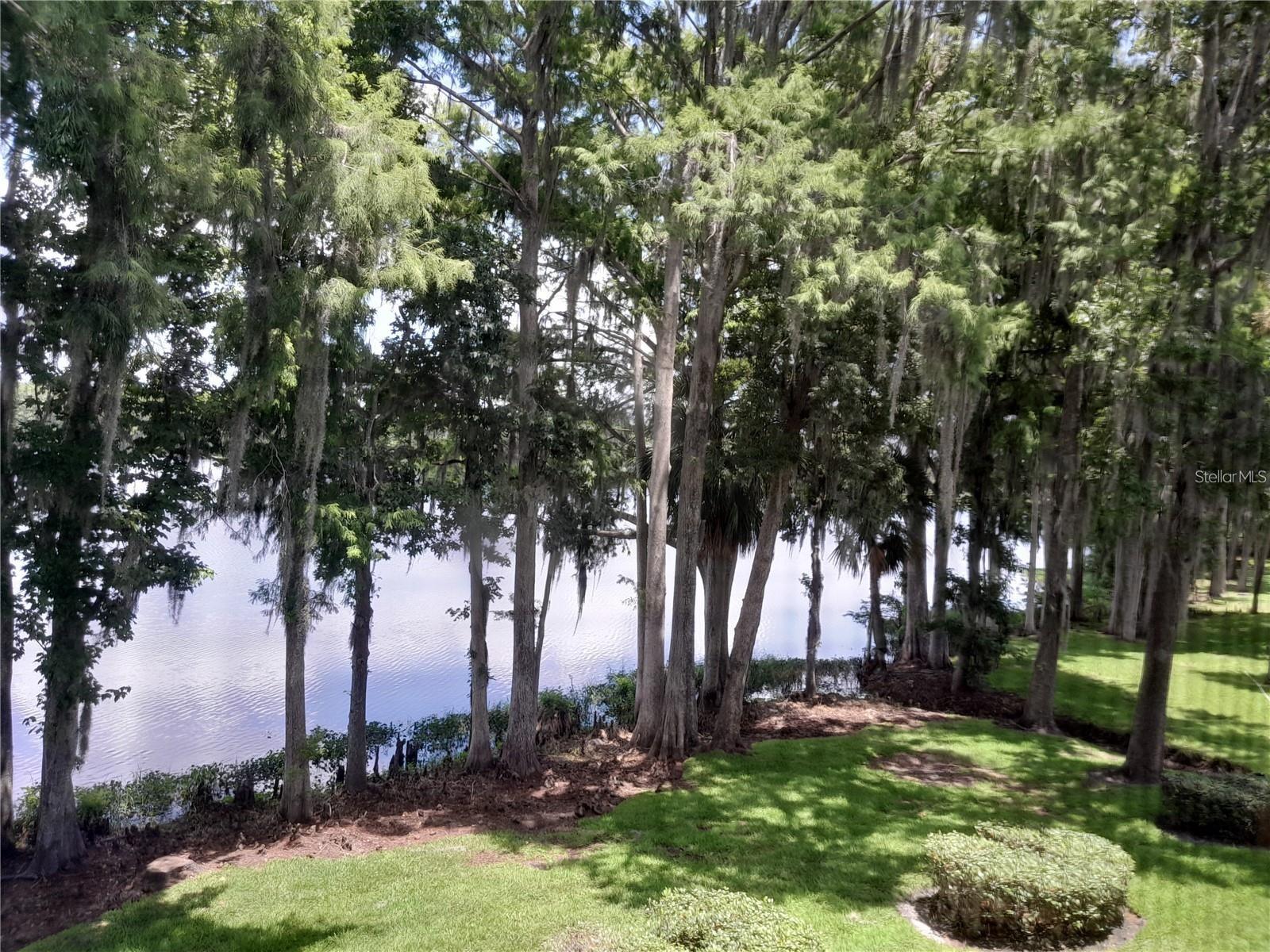 25210 Northlake Dr #210 Property Photo 29
