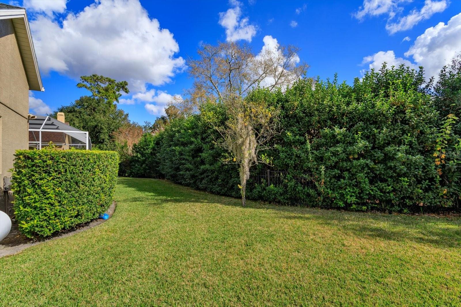 5341 Fawn Woods Ct Property Photo 45