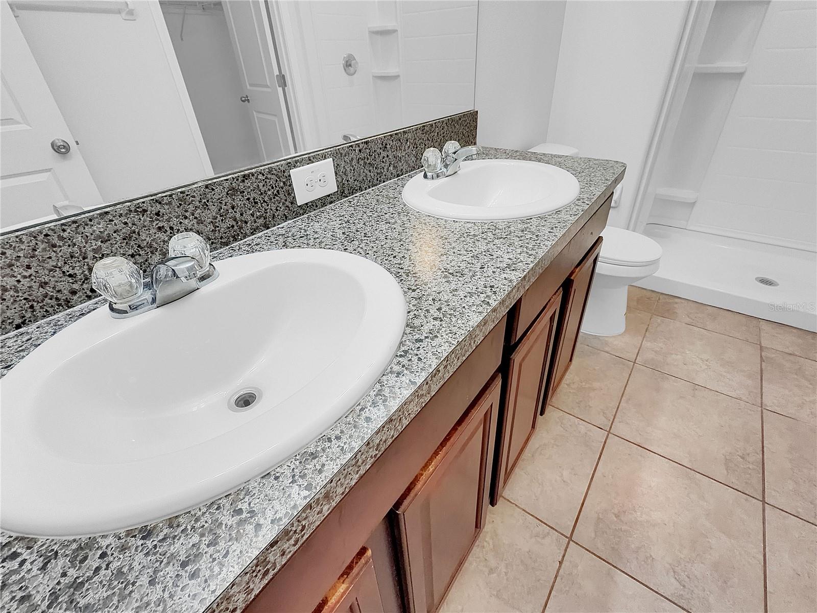 10113 Rosemary Leaf Ln Property Photo 6