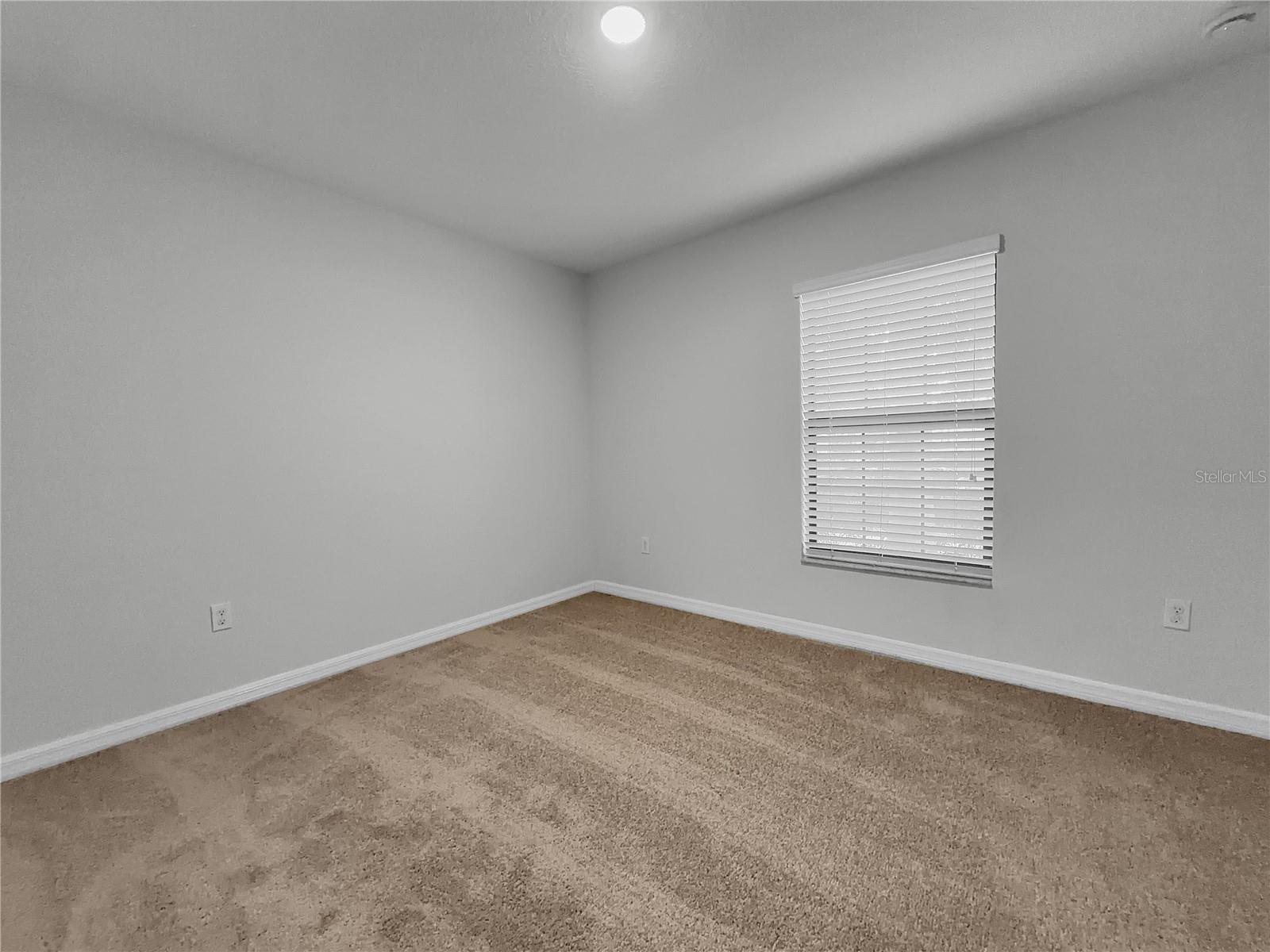 10113 Rosemary Leaf Ln Property Photo 9