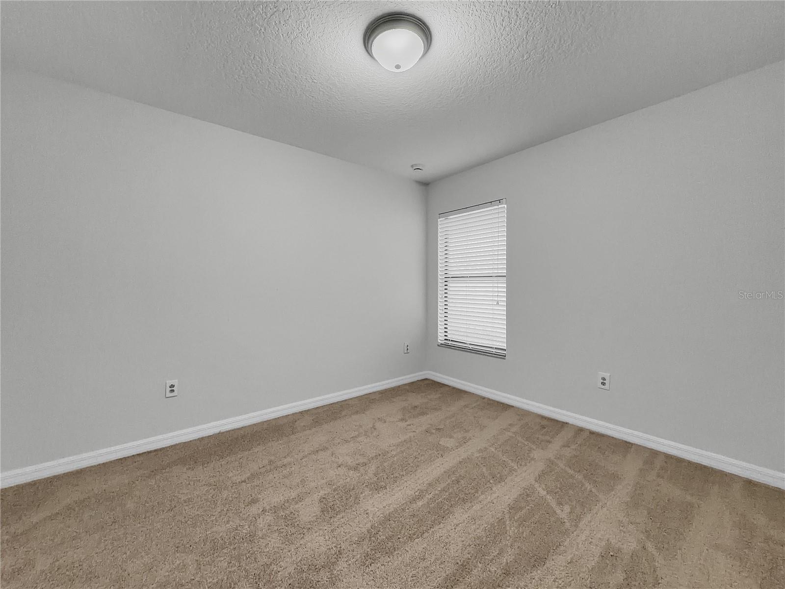10113 Rosemary Leaf Ln Property Photo 12