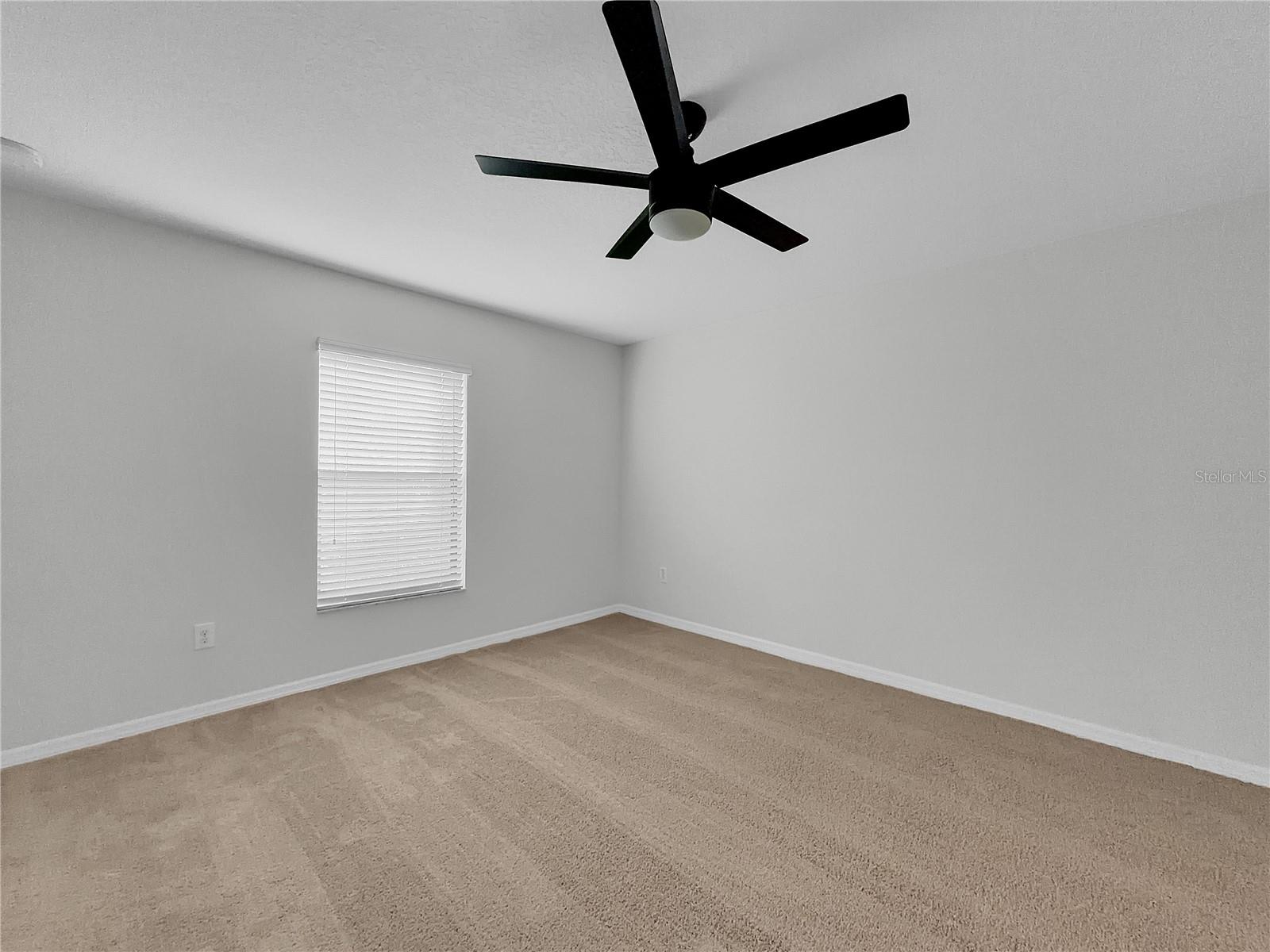 10113 Rosemary Leaf Ln Property Photo 18