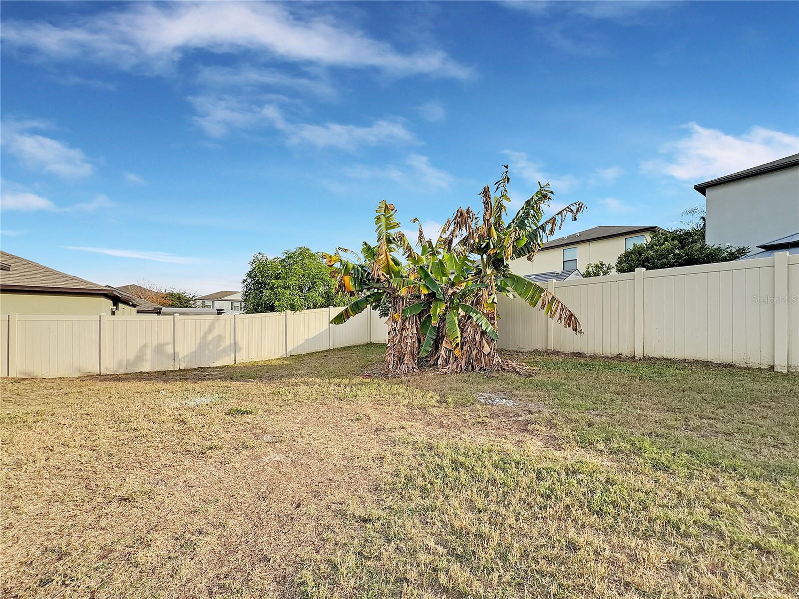 10113 Rosemary Leaf Ln Property Photo 21