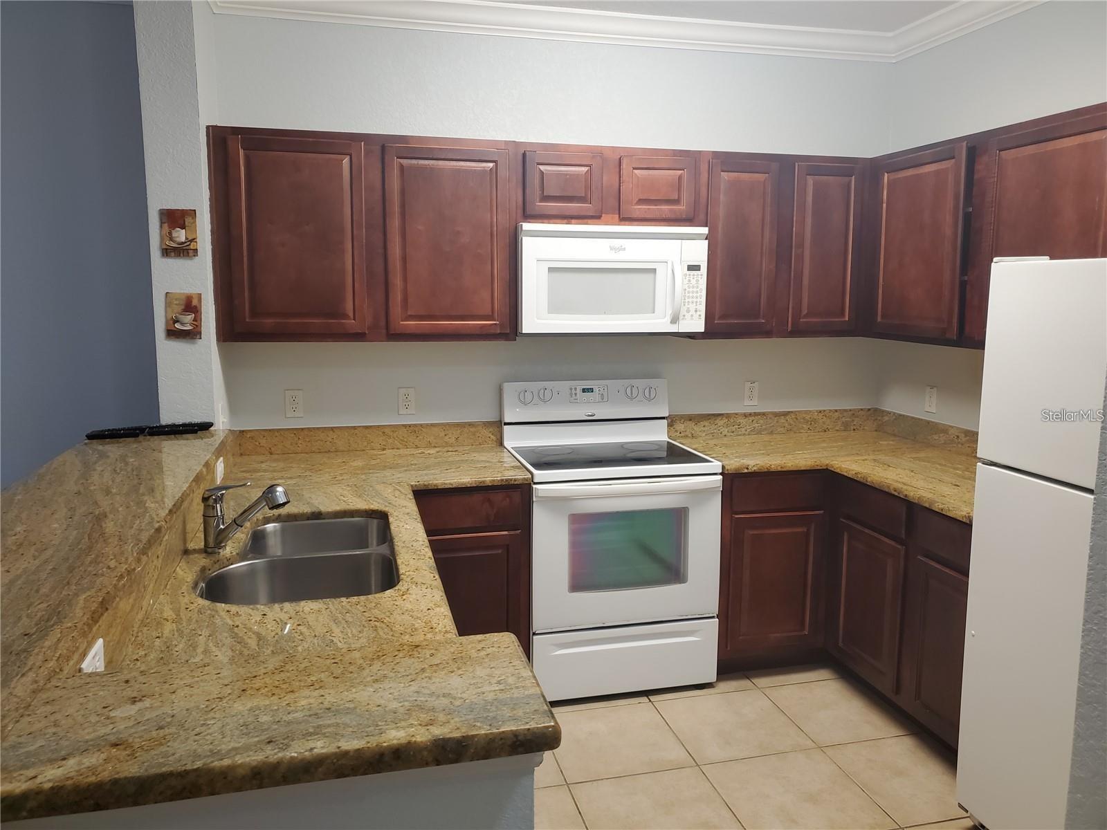 1371 Tuscan Ter #3307 Property Photo 4
